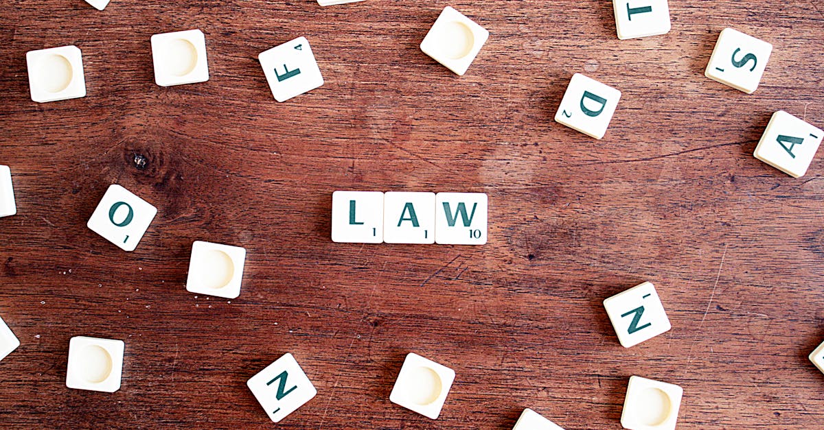 What is a lawyer investigator?